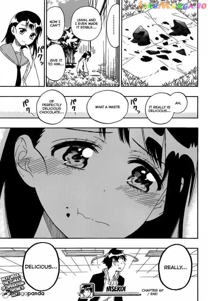 Nisekoi Chapter 67 image 20_optimized